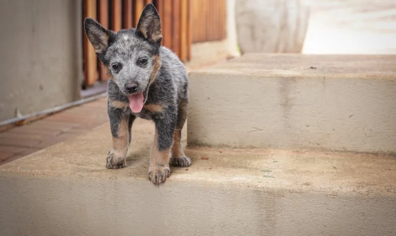„Elküldtem a fiamat és a menyemet otthonról: Rossz anya vagyok, vagy végre esélyt adtam nekik felnőni?”