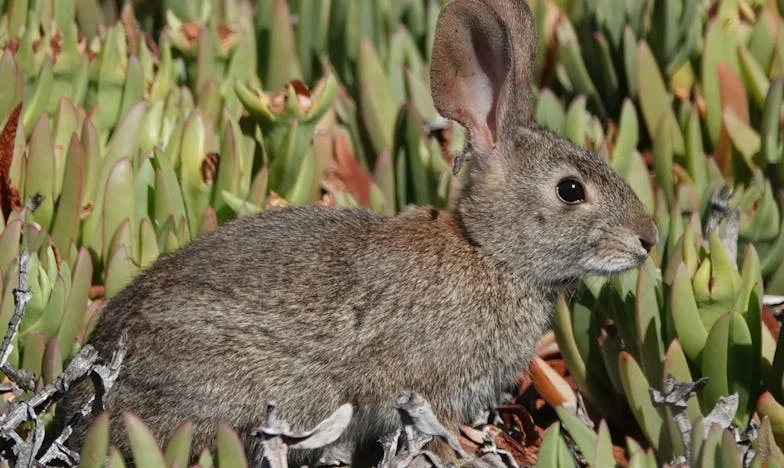 Értékes, mint a kenyér – de mi lesz a családdal?