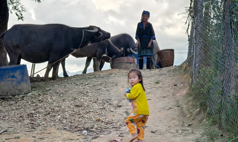 Harminc év csend, egy kiáltás – Egy családi árulás története