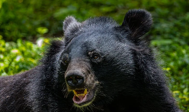 Két nagymama, egy unoka: Egy anya szívszorító harca a családi békéért
