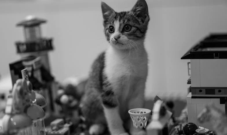 „Mama, te mindig ráérsz...“ – Egy nyár az unokáimmal és a csendes csalódás