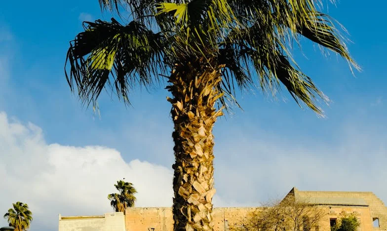 Mások házai: Egy örökség súlya – Életem a családi falak között