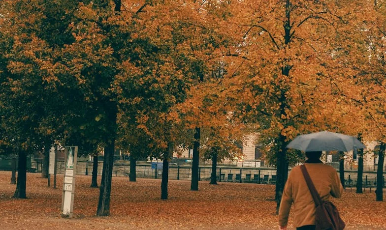 Miért ő, és miért nem én? – Egy magyar család igazságtalanságának története