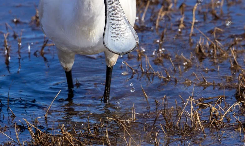„Nem fogok szenvedni a szüleid adósságai miatt” – Egy anya betegsége, egy házasság vége