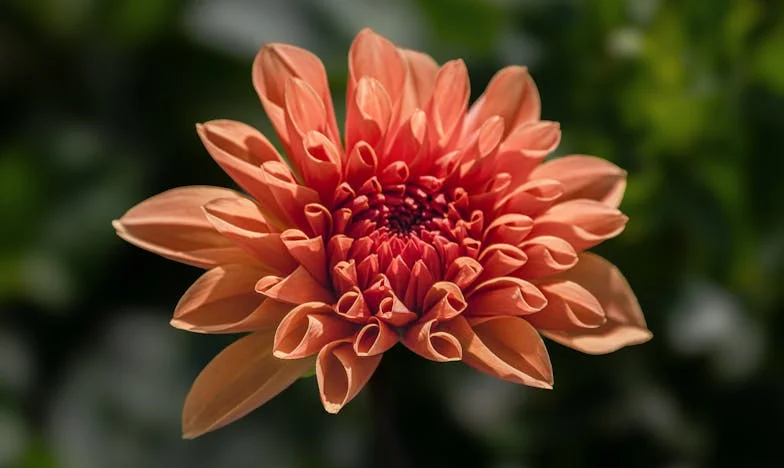 „Nem számít, hogy szereted-e – csak maradjatok együtt!”: Egy családi háború krónikája