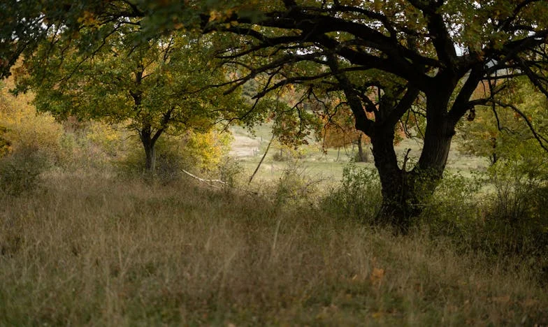 „Nem vagyok a szolgátok!” – Egy magyar feleség harca a saját hangjáért