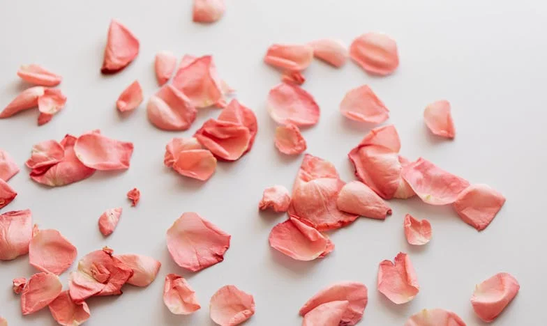 „Nincs jogod a nevünkhöz!” – A válás utáni harcom az anyósommal és önmagammal