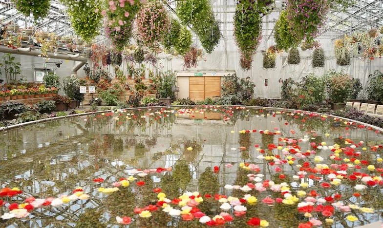 Sosem akartam gyereket. Érted tettem – Egy magyar házasság története