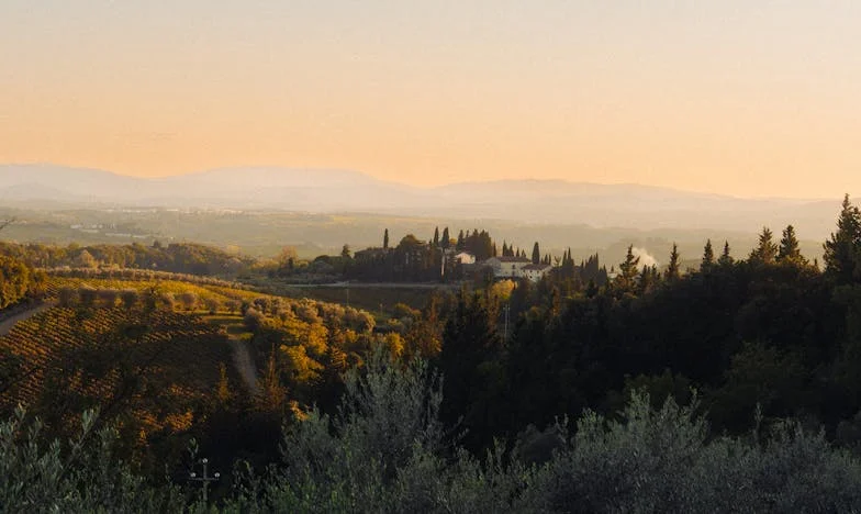Szerelem és Büszkeség Között: Egy Anyós Vallomása