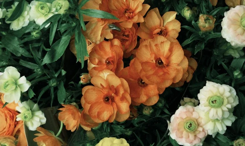 A 3B-s lakás titka: Egy éjszaka, ami mindent megváltoztatott