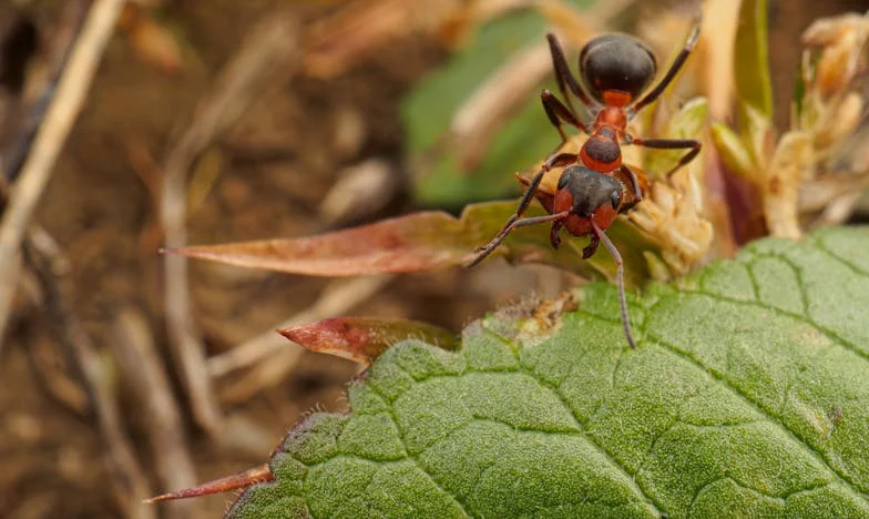 A csend, ami közénk állt – Egy barátság vége a Sparban