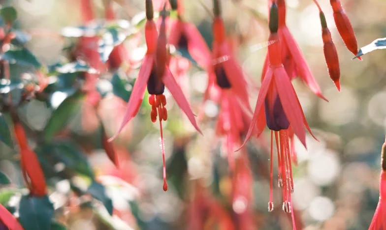 A férjem titka: Elég bátor vagyok az igazsághoz?