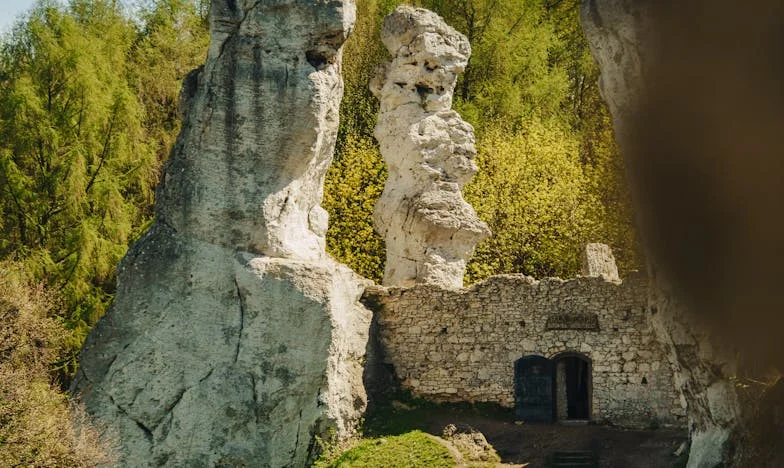 A könyvtári asztal – Egy budapesti nyugdíjas története a reményről