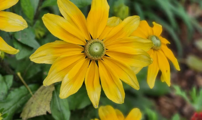 Amikor a féltestvérem bekopogott – és mindent elvett tőlem