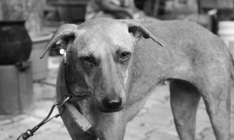 Amikor a férjem elárult a szülőszobán: Egy magyar nő ereje