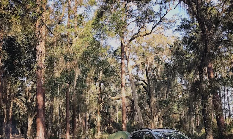 Amikor a szomszédom felnyitotta a szemem: Az igazság, amit nem akartam hallani