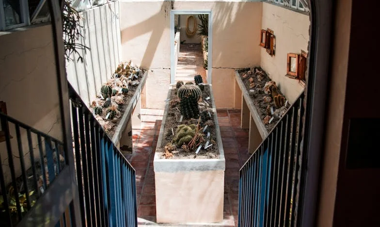 Amikor az igazság jobban éget, mint a betegség: Egy magyar apa vallomása