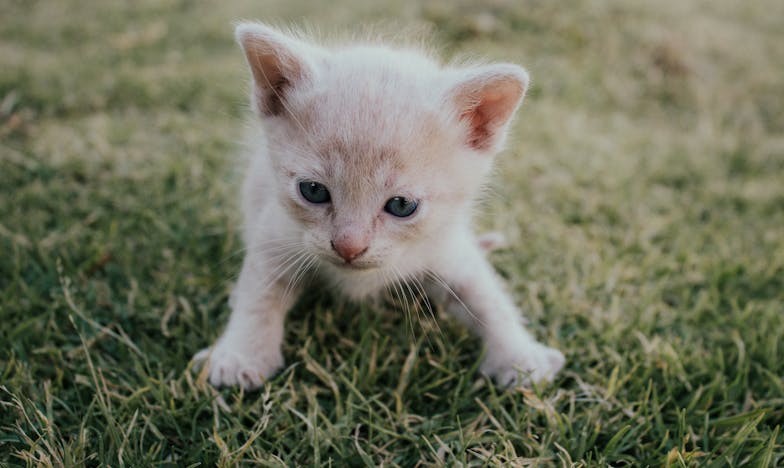Anyai könnyek: Amikor a fiam és az anyósom között eltűnnek a határok