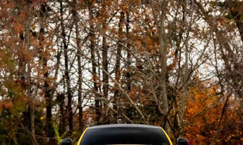 Anyósom árnyékában: Egy család harca a „segítség” ellen