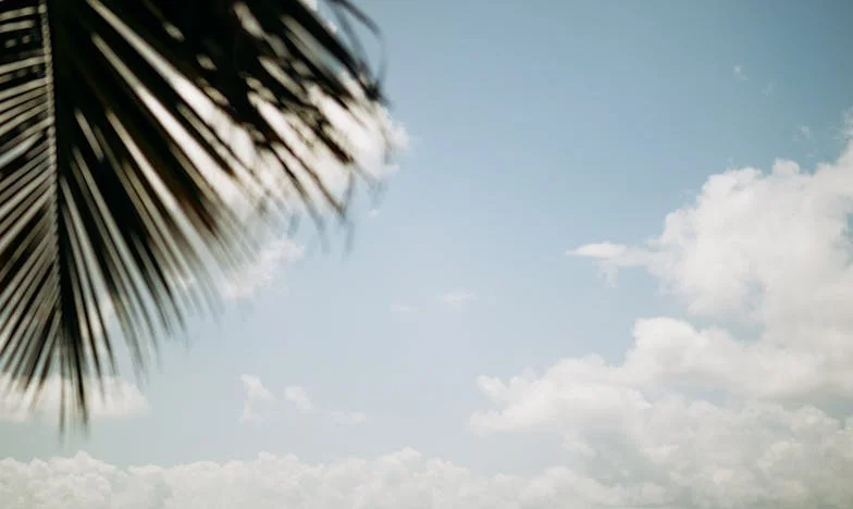 Az éjszaka, amikor kitettem a fiamat és a menyemet – Egy anya határai