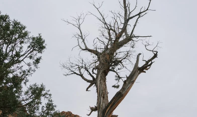 Csend köztünk: Egy anya harca lánya bizalmáért