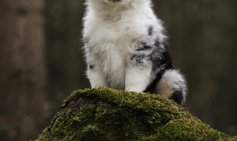 Egy bőrönddel vissza a szülői házba – Amikor az anyósom azt mondta: "Akkor te veszed fel a hitelt."