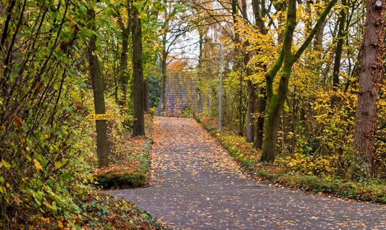 Elhallgatott örökség: Az igazság, ami szétszakította a családunkat