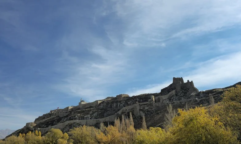 Elveszett gyökerek: Egy magyar fiú útja az igazságig