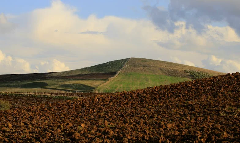 „Ha gyereket akarsz, előbb költözz el innen!” – Egy anyós árnyékában