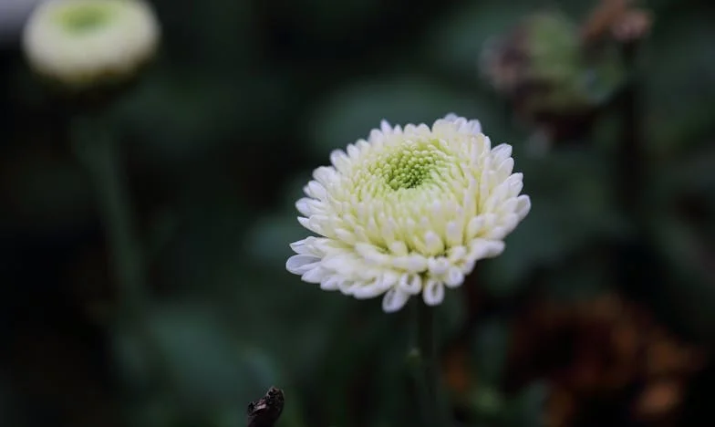 Huszonöt év házasság után rájöttem, hogy nem ismerem a férjemet: Egy árulás, családi titkok és újjászületés története