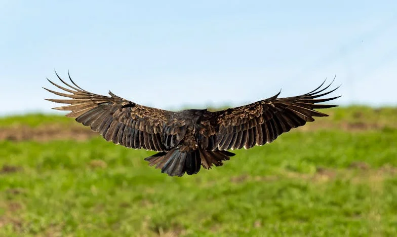 Magány az anyai szeretet árnyékában: Egy anya és lánya története