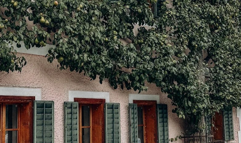 Még egy szoba anyósomnak: Egy ház, ami szétszakította a családot