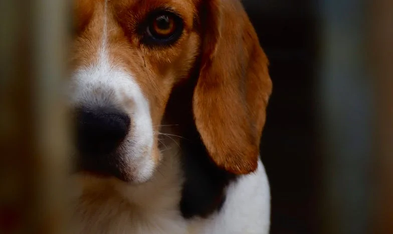 „Nem akarok itt élni!” – Egy döntés, ami mindent megváltoztatott