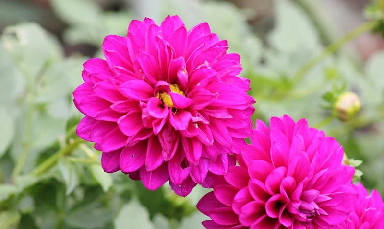 „Nem tudom, mit mondjak” – Egy döntés terhe a családban