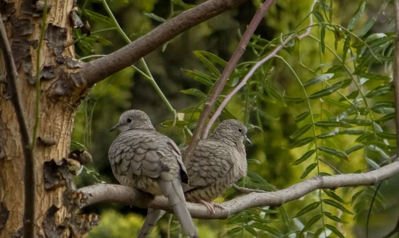 A férjem utolsó akarata összetörte a szívemet – mindenét egy ismeretlen nőre hagyta