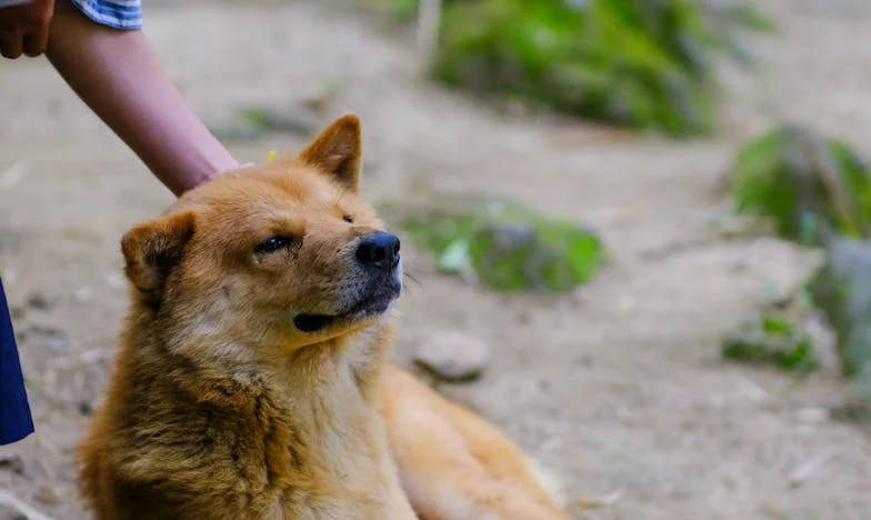 A lányom nem utazik a Balatonra, de anya pénzt követel – Egy családi igazságtalanság története