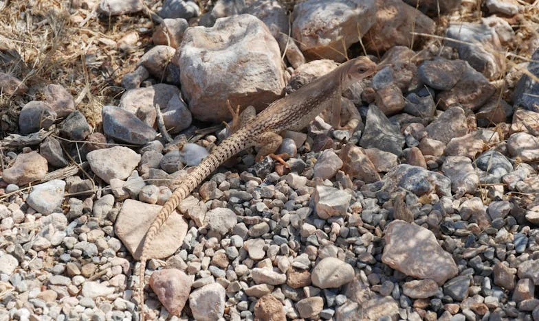 A mi otthonunk, csak magunknak: Hogyan építettük fel Zsuzsával a házunkat szülői segítség nélkül