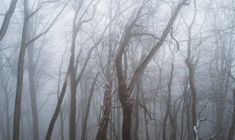 Álarcos szerető: Hogyan csinált a férjem cirkuszt anyám lakásában