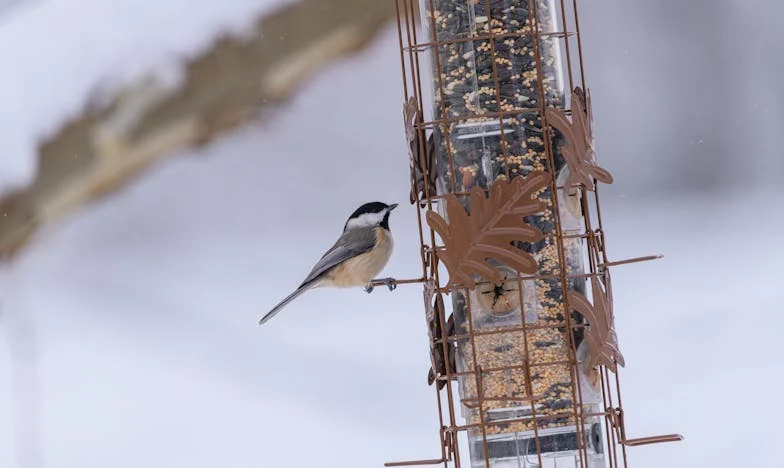 Amikor a férjem elutazott, az anyósom kidobott a házból – Egy magyar nő története árulásról, megaláztatásról és belső erőről
