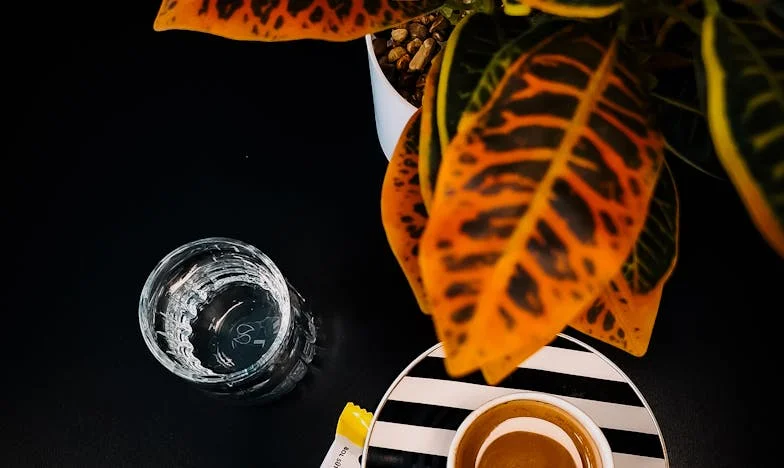 Amikor a fiam kinyitotta az ajtót a rendőröknek: Egy új élet küszöbén