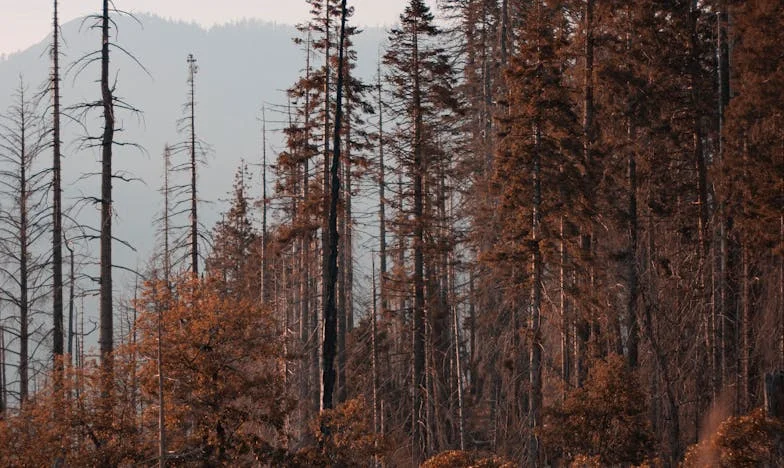 Amikor Gábor elküldött: Egyedül a házasságban – Dóra vallomása