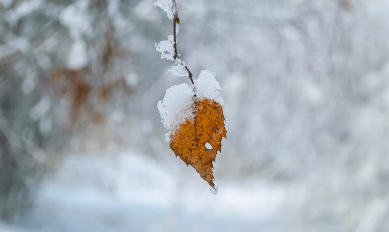 Anya új élete, én pedig egyedül: Egy csendes fájdalom története és a megértés keresése