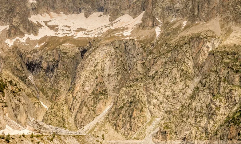 Árnyak a Családi Asztalnál: Egy Anya Vallomása a Petrovič-család Széthullásáról