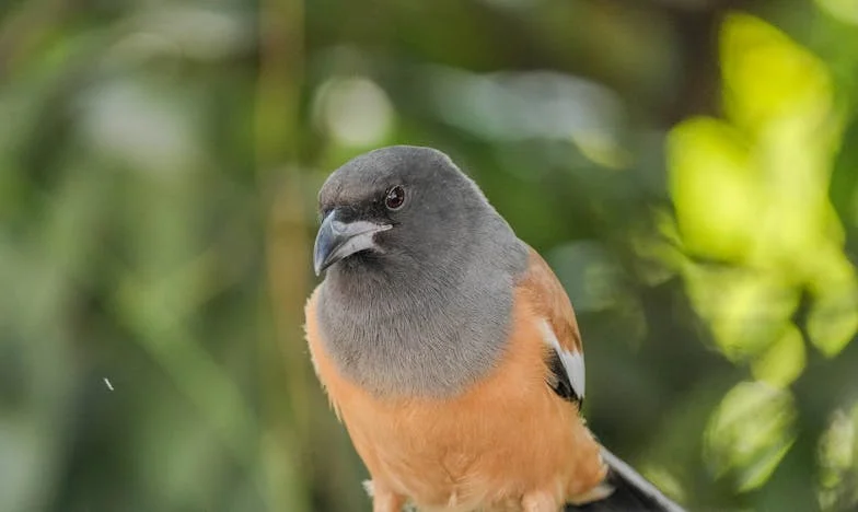 Az árnyék, ami nem enged – Egy mozaikcsalád harca a boldogságért