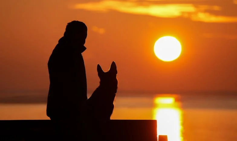 „Az én fiam nem fogja a te házadat javítani!” – Hogyan rombolta le az anyósom a házasságunkat darabról darabra