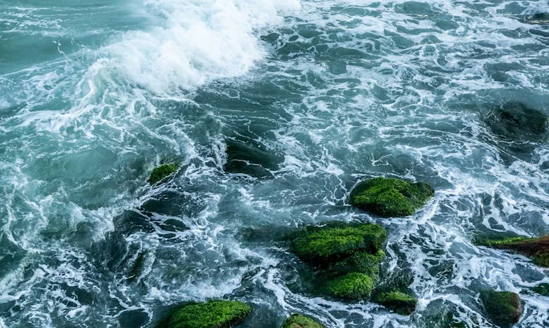 Befogadtam, mint a sajátomat – mégis összetört a szívem