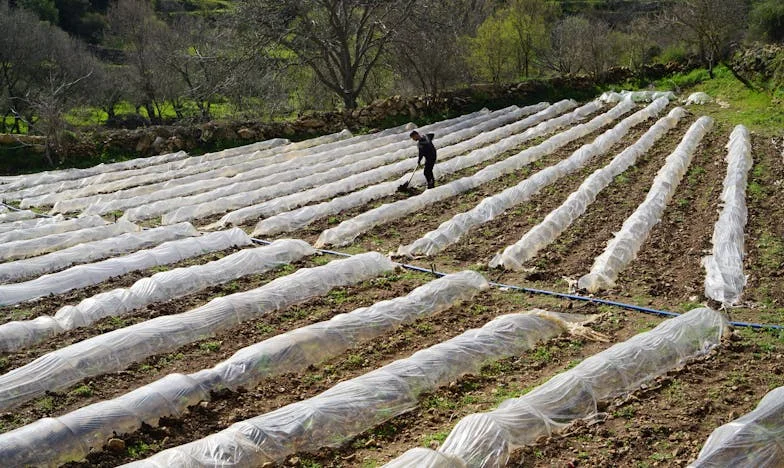 Egy bőrönd titka – Egy magyar feleség szembenéz a hűtlenséggel
