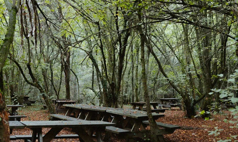 Egy fedél alatt: Egy magyar anya szégyene, harca és győzelmei