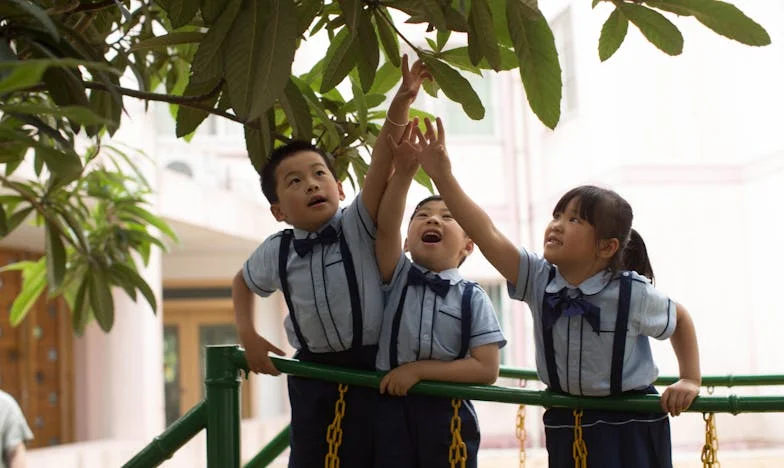 Egy vasárnapi ebéd, ami mindent megváltoztatott – Az igazság ára a családban