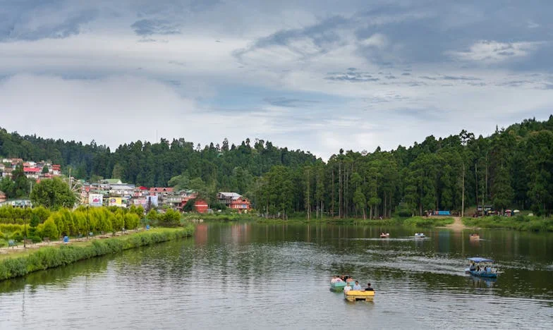 „Egy veszekedés miatt elveszítettem az unokámat” – Egy magyar nagymama vallomása
